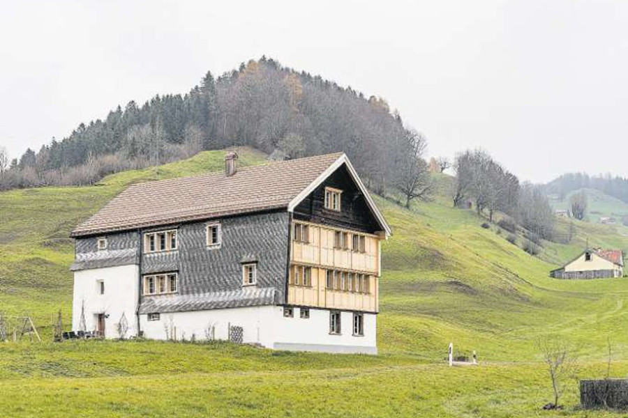 Foto zum Projekt «»