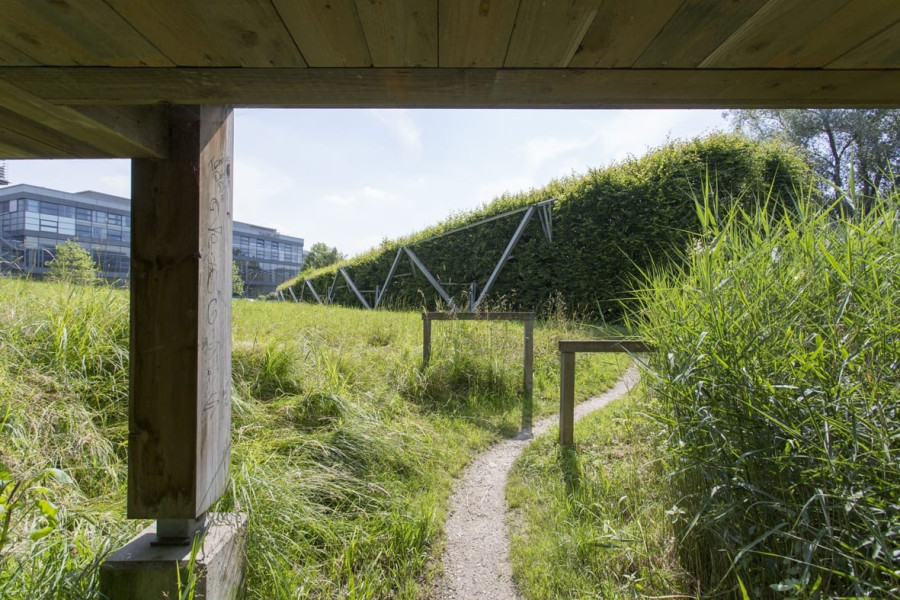 Foto zum Projekt «»