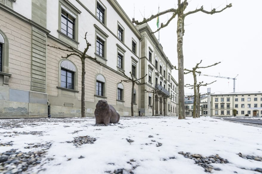 Foto zum Projekt «»