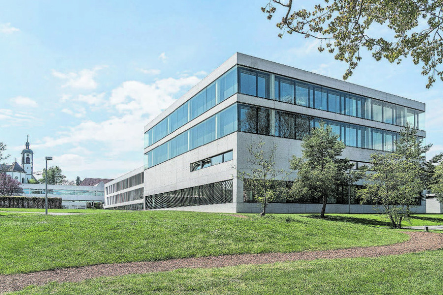 Foto zum Projekt «»