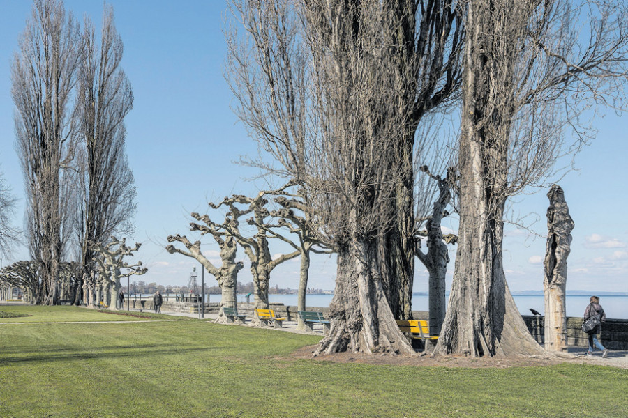 Foto zum Projekt «»