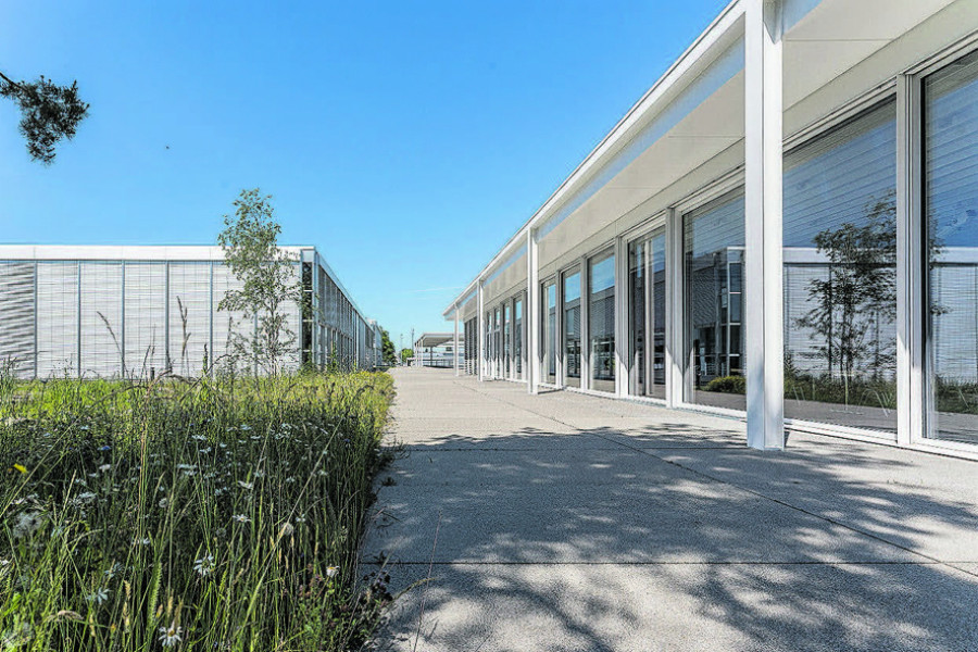 Foto zum Projekt «»