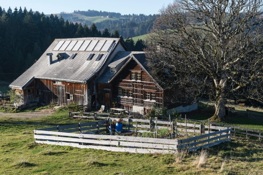 Foto zum Projekt «»