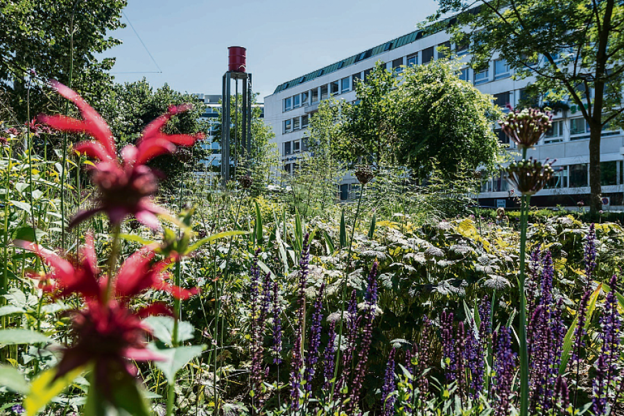 Foto zum Projekt «»