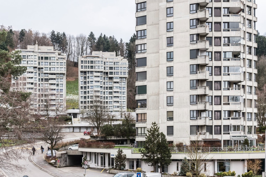 Foto zum Projekt «»