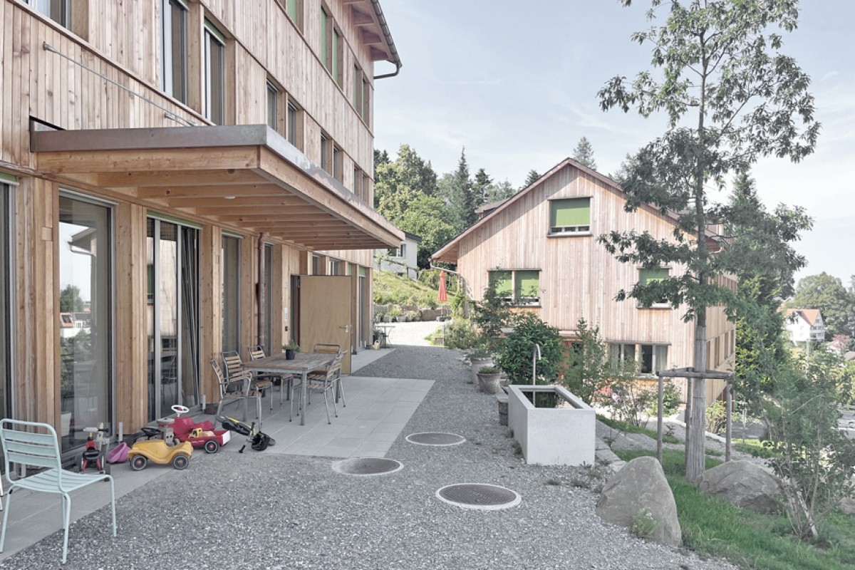 Bild zum Beitrag